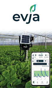 EVJA-SMART-SITO-260101