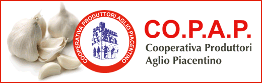 COPAP-FLEXI-SITO-260301