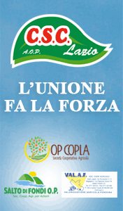 CSC-SMART-SITO-260110