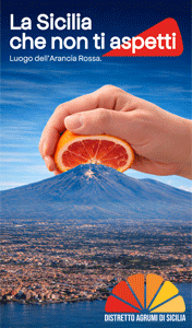 LA-NORMANNA-SMART-SITO-DISTRETTO-260310