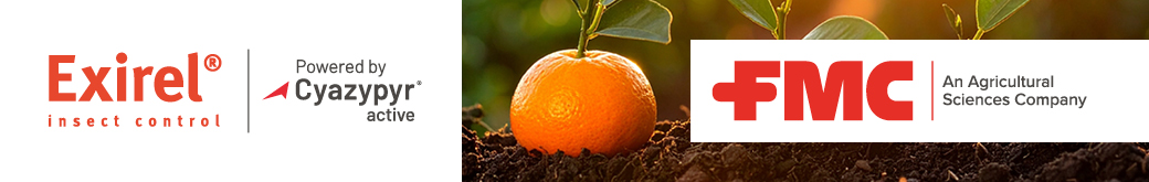 FMC-FLOTTANTE-260303