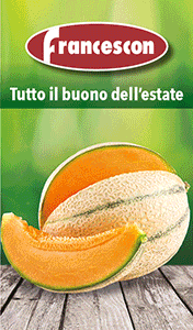 FRANCESCON-SMART-SITO-250622