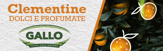 GALLO-FLEXI-SITO-clem-251106