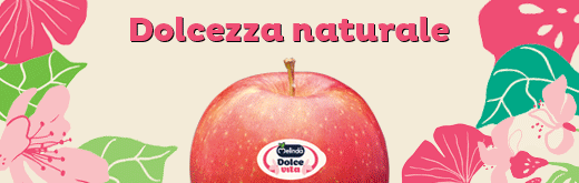 MELINDA-FLEXI-SITO-dolcevita-260118