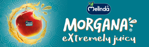 MELINDA-FLEXI-SITO-morgana-260327