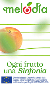 armonia-melodia-smart-sito-250730