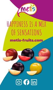 metis-smart-sito-250701