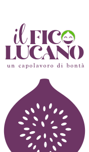 ancona-fico-lucano-smart-sito-250801