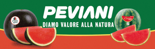 PEVIANI-FLEXI-SITO-250602