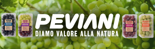 PEVIANI-FLEXI-SITO-250915