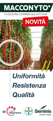 SEMINIS-MONSANTO-TOP-SITO-250730