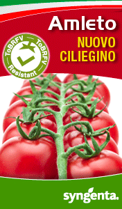 SYNGENTA-smart-sito-amleto-260201