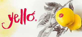 vip-vog-manc-sito-260202-yello